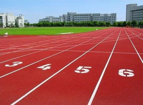 汽车公园跑道宽度多少